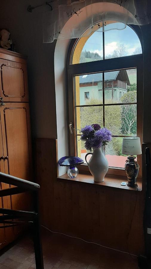 Guest House Vila Frýdštejn Bagian luar foto